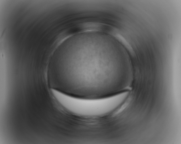 X0000092071417200709262038