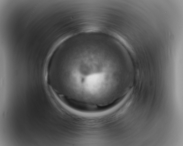 X0000092071418200709262038