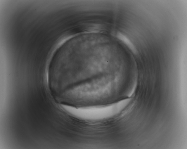 X0000092071419200709262038