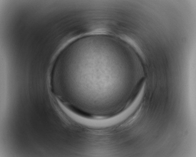 X0000092071422200709262038