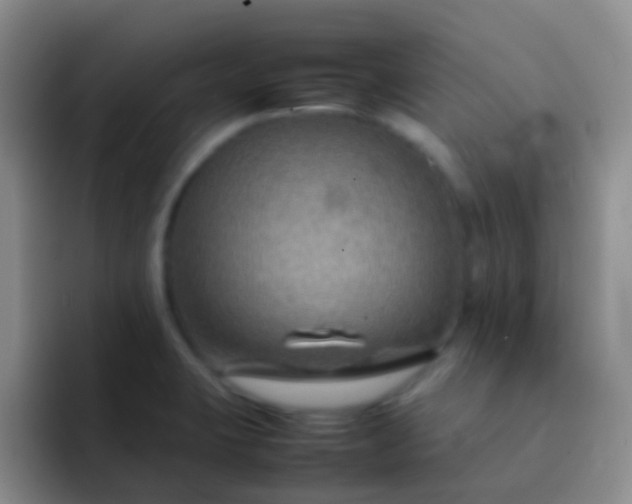 X0000092071423200709262038