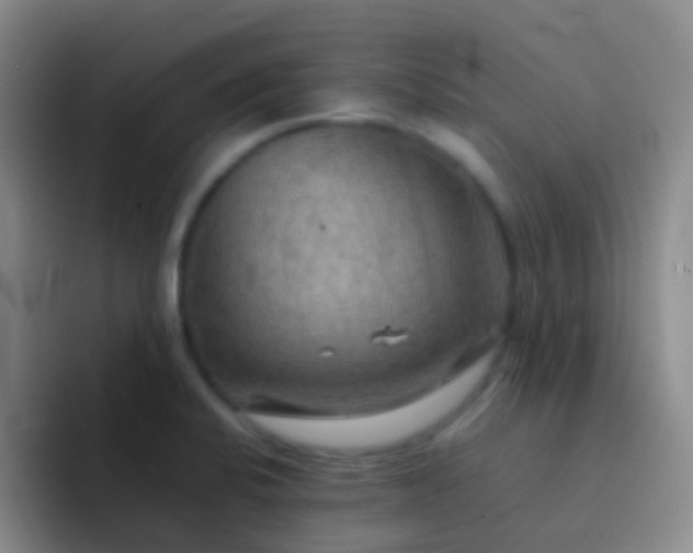 X0000092071424200709262038