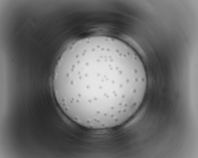 X0000092071425200709262038