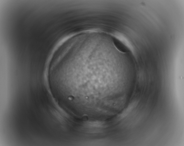 X0000092071429200709262038