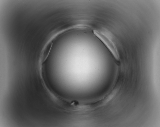 X0000092071430200709262038