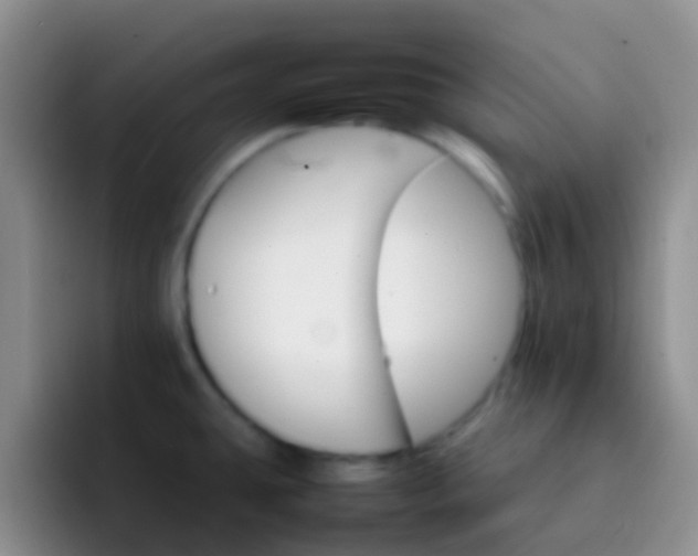 X0000092071431200709262038