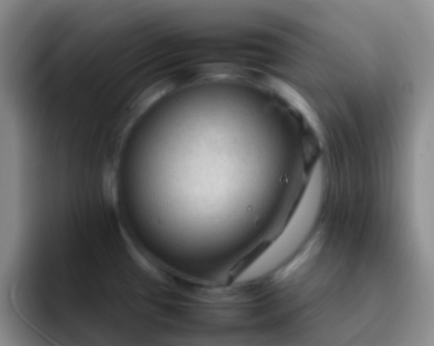 X0000092071433200709262038