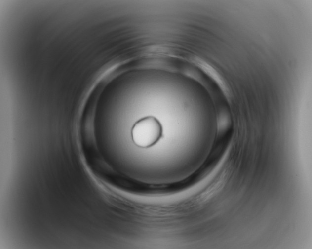X0000092071434200709262038