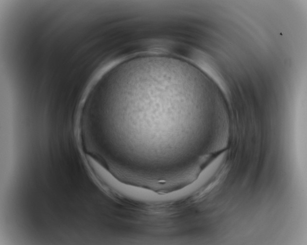 X0000092071437200709262038