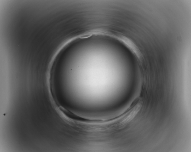 X0000092071438200709262038