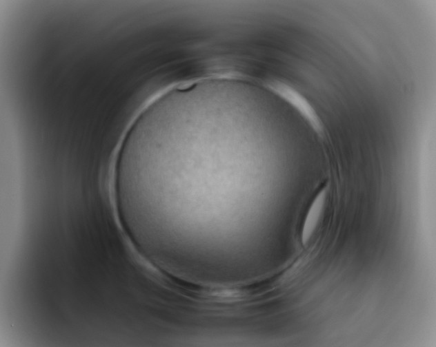 X0000092071439200709262038