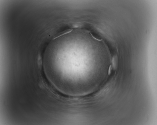 X0000092071443200709262037