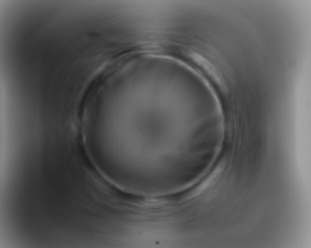 X0000092071449200709262037