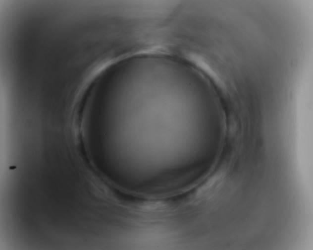 X0000092071455200709262037