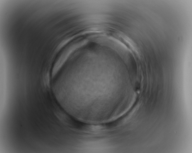 X0000092071465200709262037