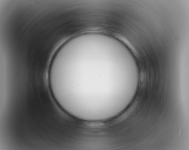X0000092071466200709262037