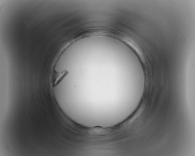 X0000092071481200709262037