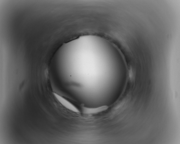 X0000092071492200709262036