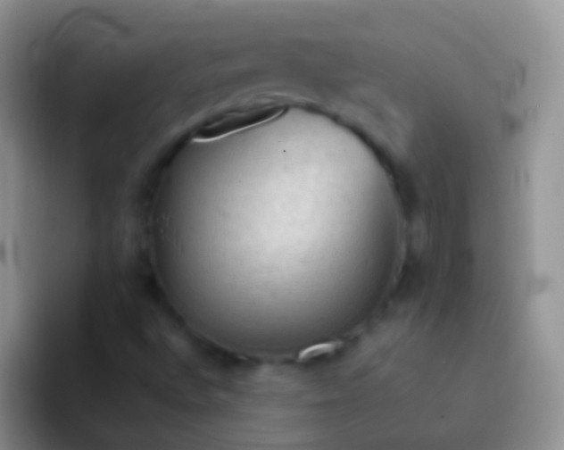 X0000092071496200709262036