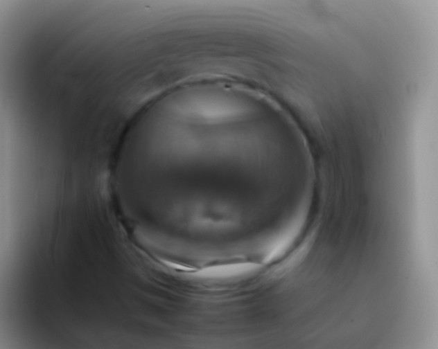 X0000092071497200709262036