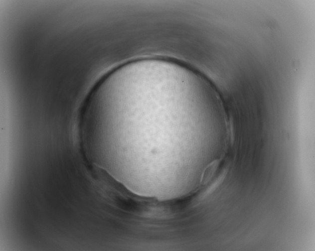 X0000092071501200709262036