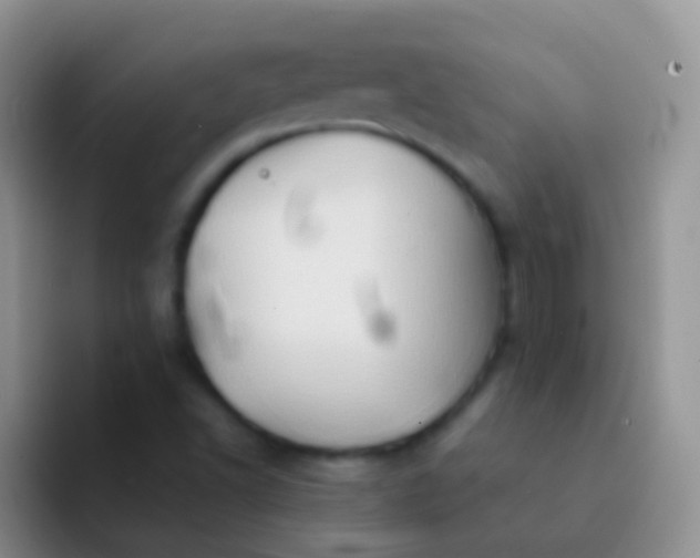 X0000092071502200709262036