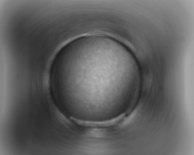 X0000092071506200709262036