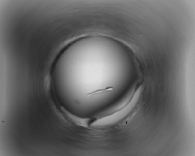 X0000092071507200709262036