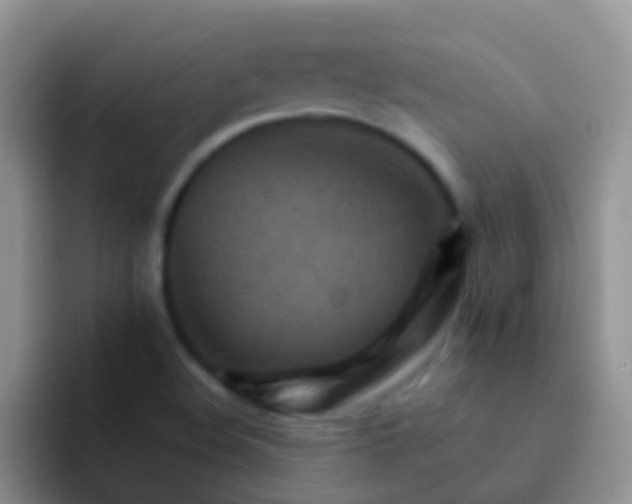 X0000092071508200709262036