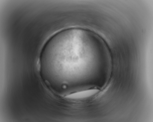 X0000092071509200709262036