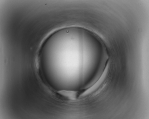X0000092071510200709262036