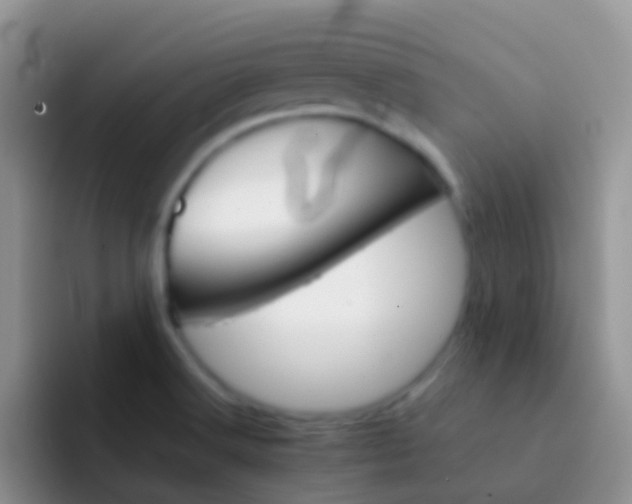 X0000092071516200709262036