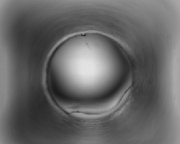 X0000092071518200709262036