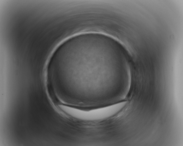 X0000092071519200709262037