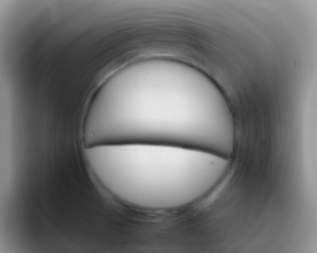 X0000092071521200709262037