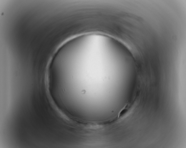 X0000092071526200709262037