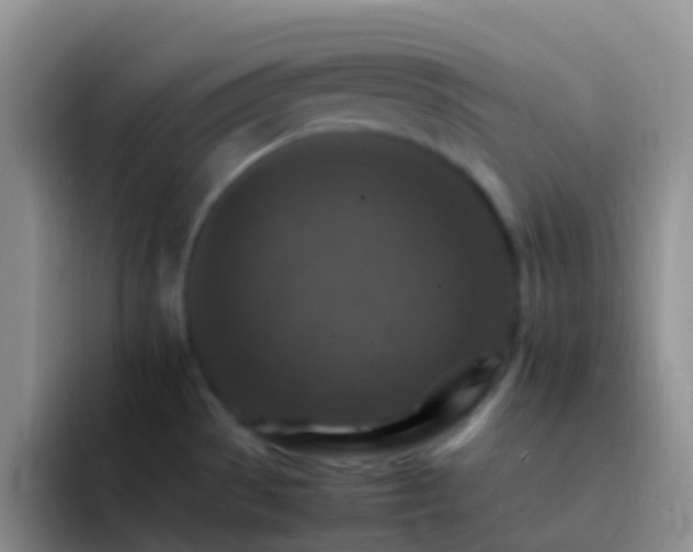 X0000092071529200709262037