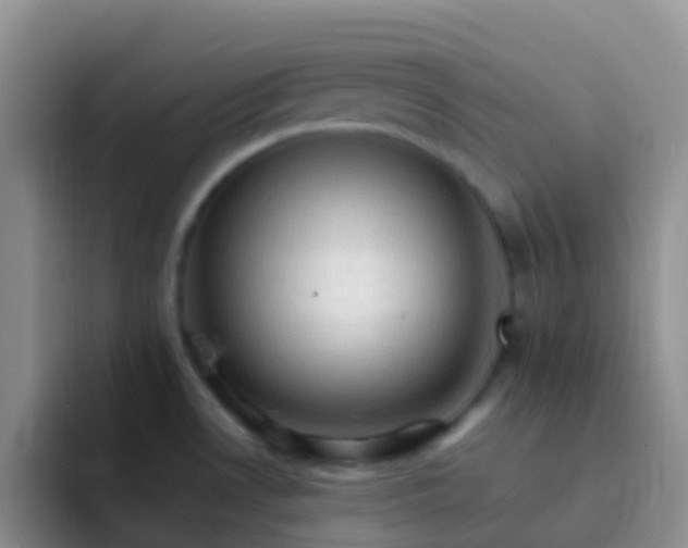 X0000092071530200709262037