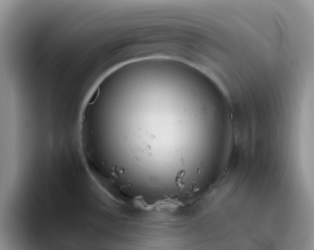 X0000092071532200709262037