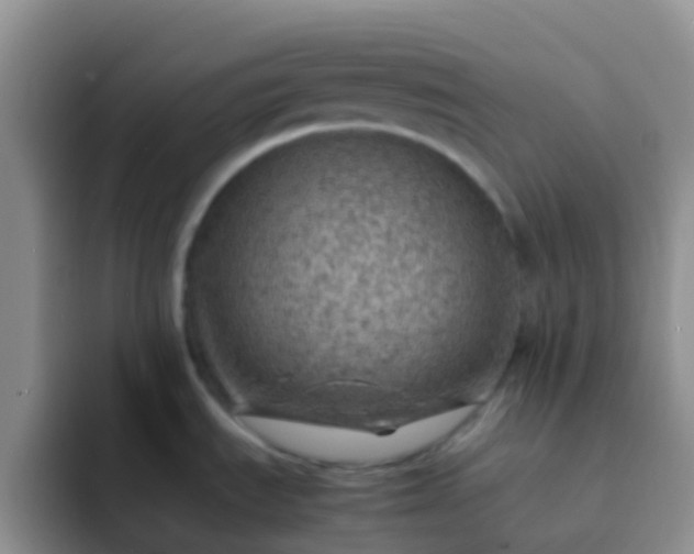 X0000092071535200709262037