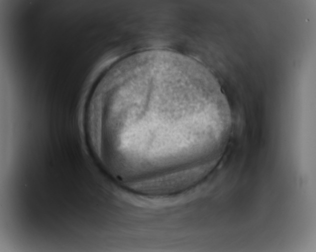 X0000092070006200710031127