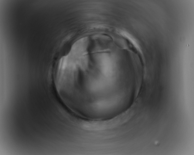 X0000092070009200710031127
