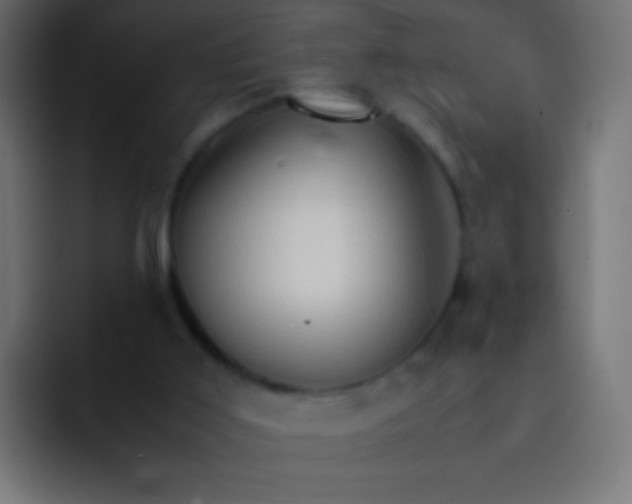 X0000092070011200710031127