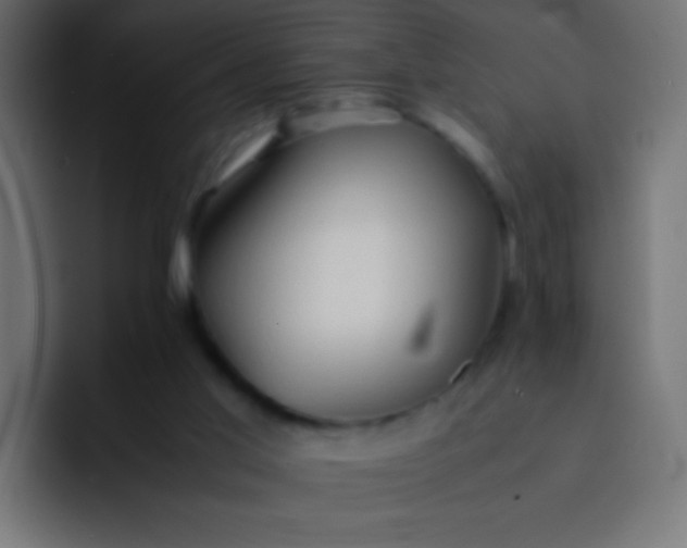 X0000092070013200710031127