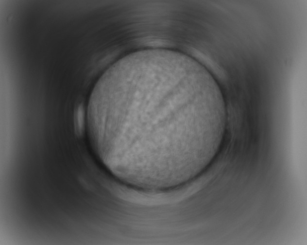 X0000092070014200710031127