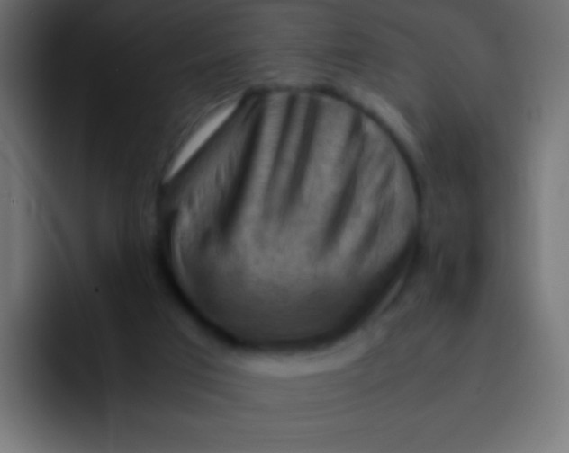 X0000092070017200710031126