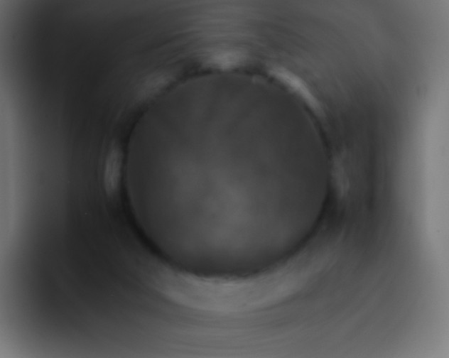 X0000092070018200710031126