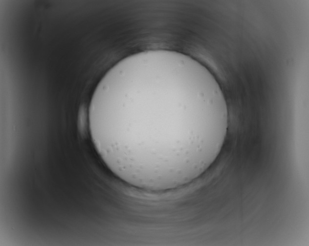 X0000092070022200710031126