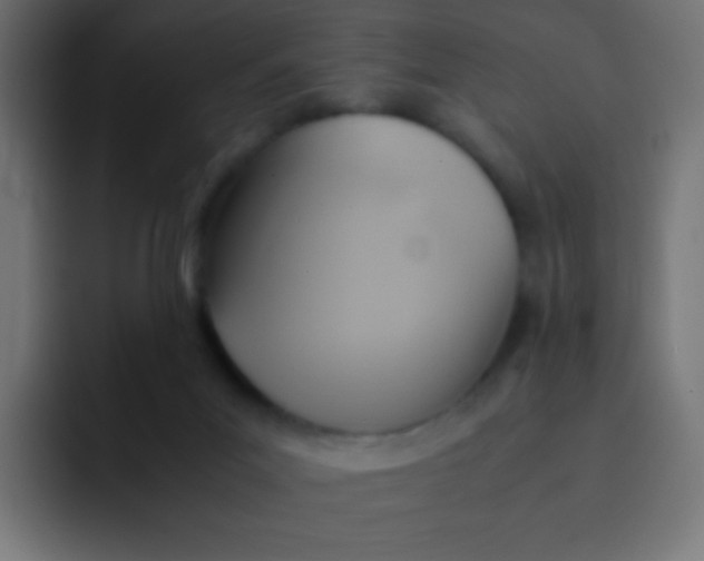 X0000092070023200710031126