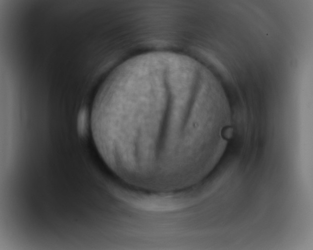 X0000092070024200710031126
